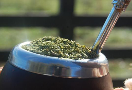 Mate listo para disfrutar