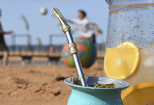 imagen de mate terere